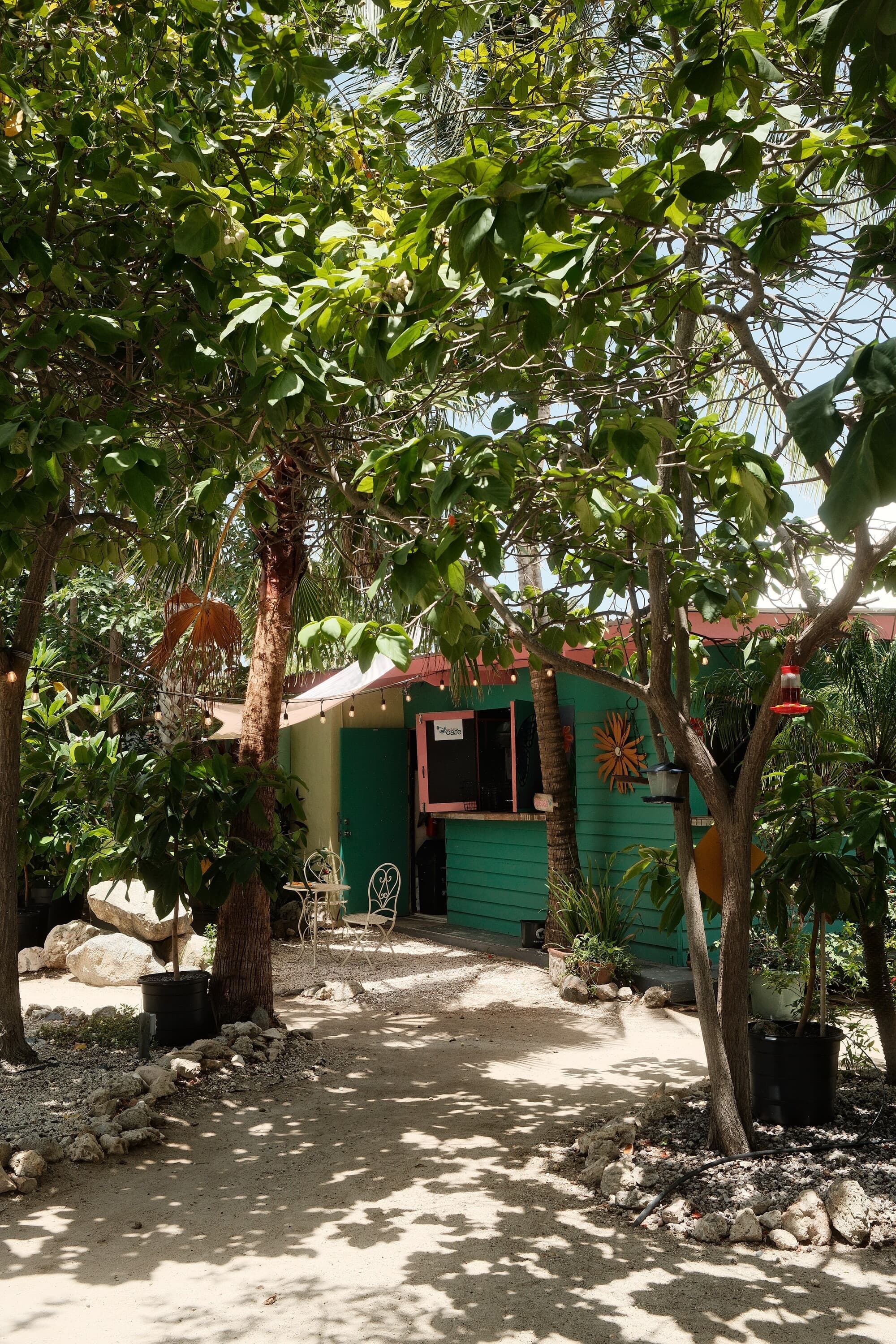Aruba 10
