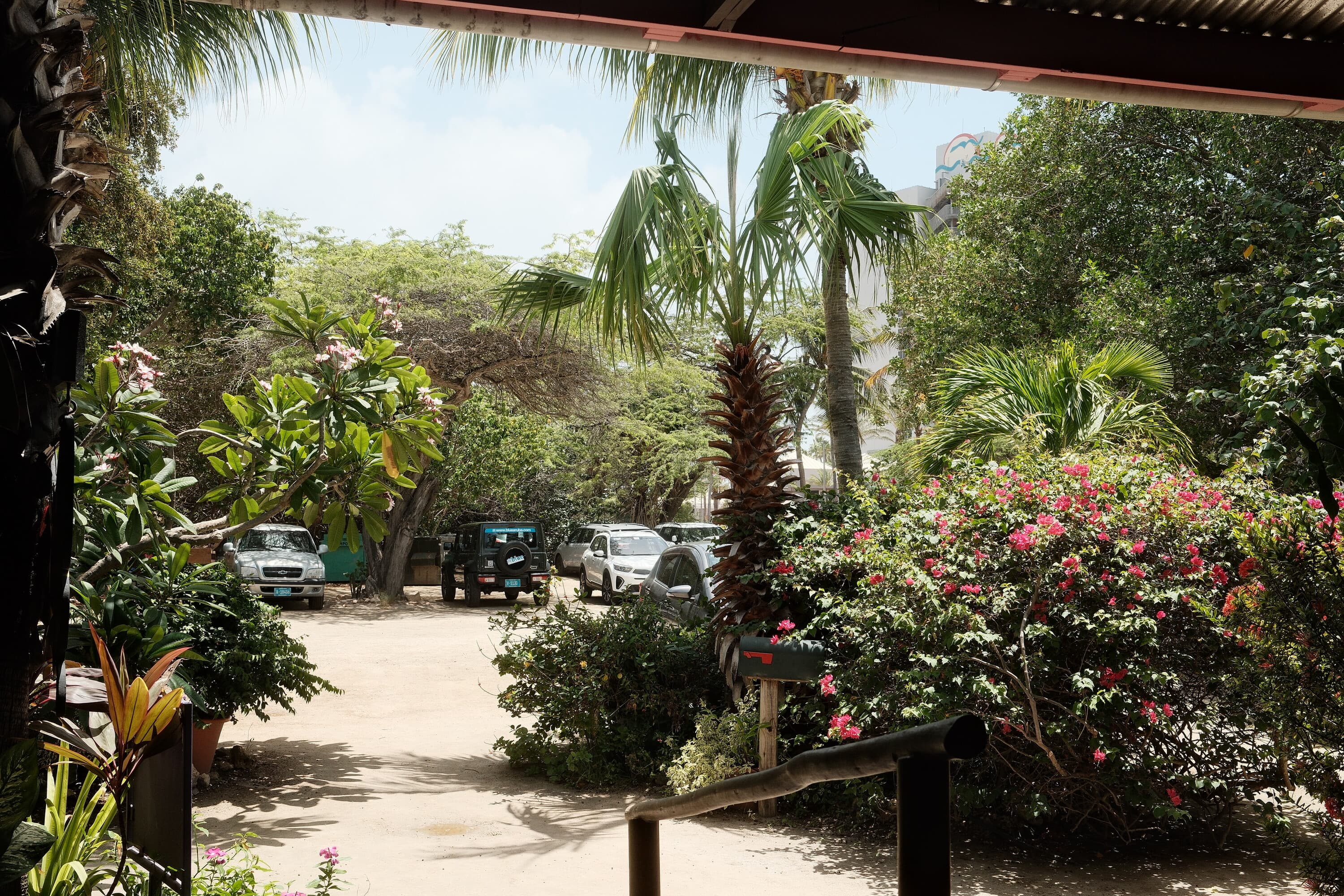 Aruba 11