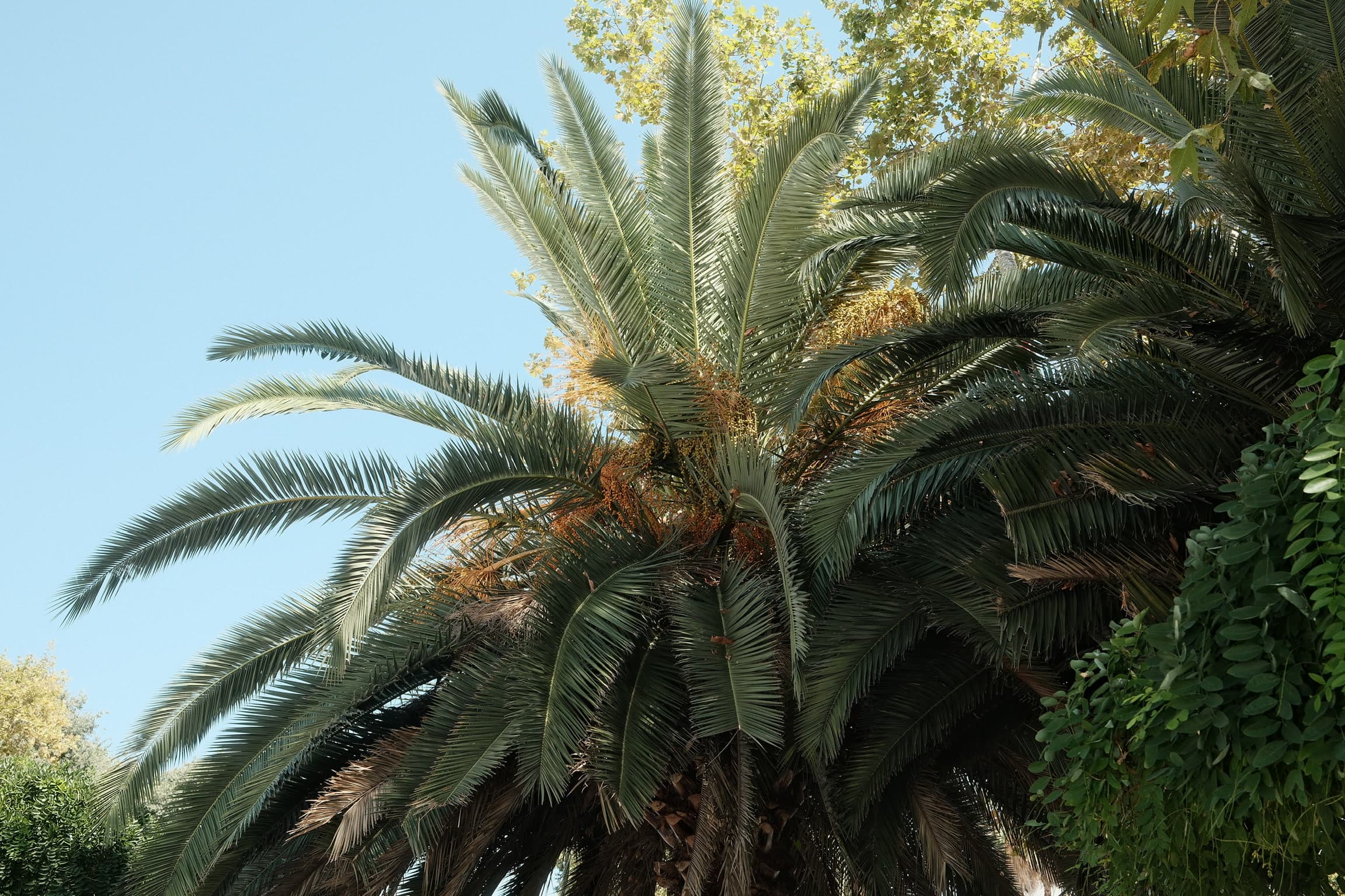Turkey 03