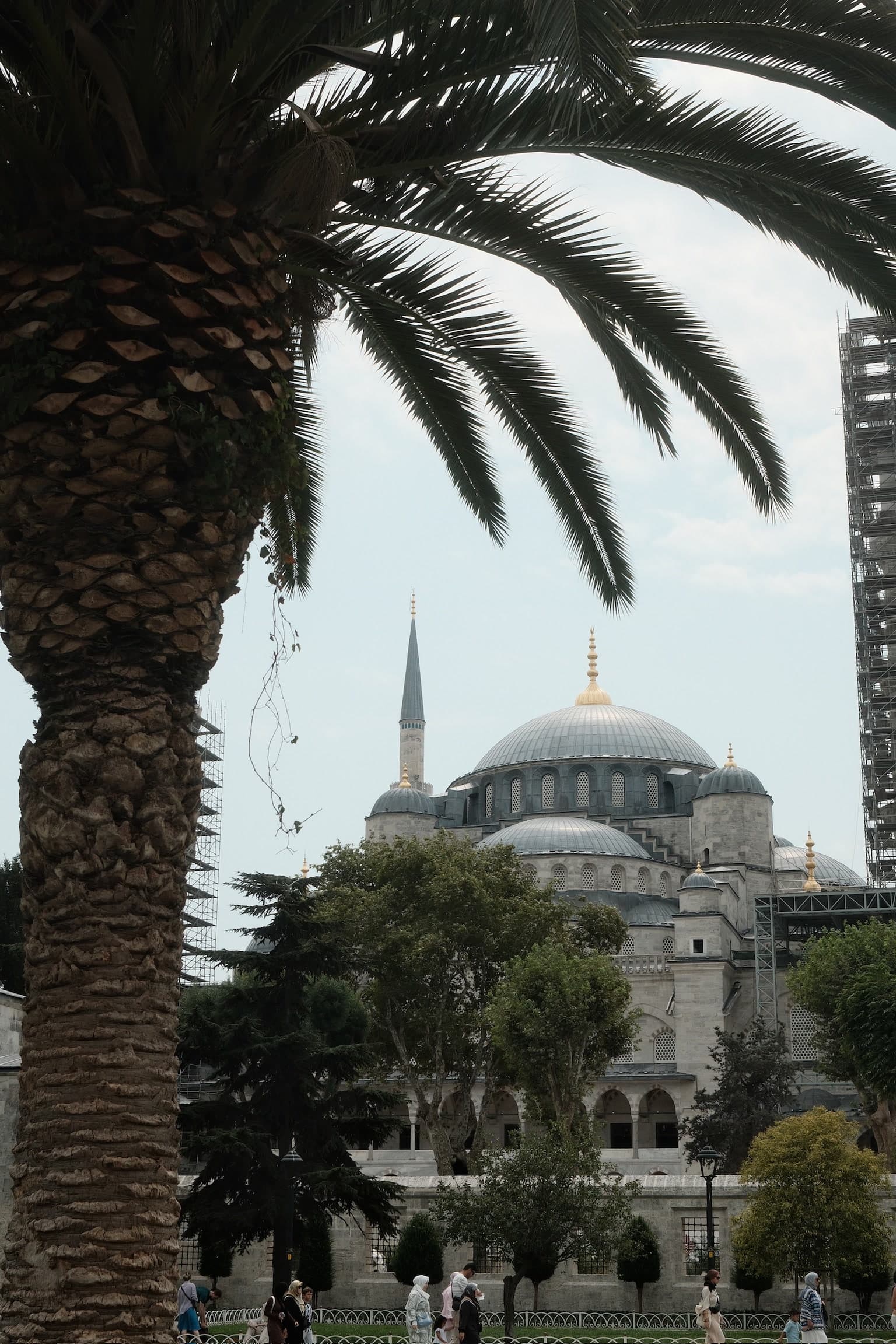 Turkey 67