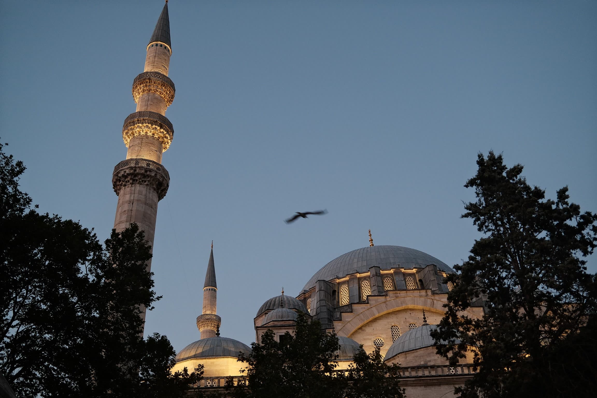 Turkey 76
